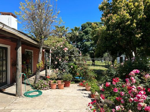 Fattoria a San Carlos, Maldonado