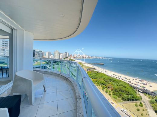 Apartament w Punta del Este, Punta Del Este