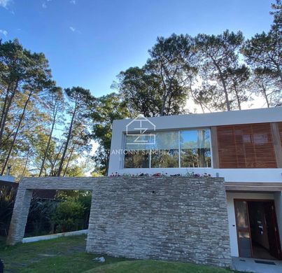 Casa Unifamiliare a Punta Ballena, Maldonado