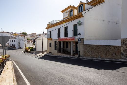 Гостиница, Лоха, Provincia de Granada