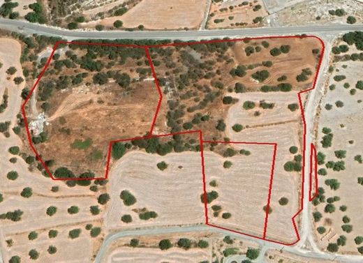 Land for sale in Palodeia