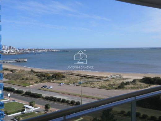Apartment in Punta del Este, Punta Del Este