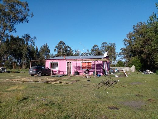 Fattoria a Punta Ballena, Maldonado