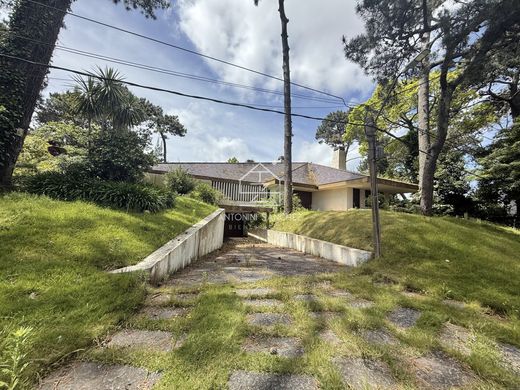 Detached House in Punta del Este, Punta Del Este