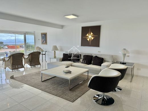 Apartment in Punta del Este, Punta Del Este