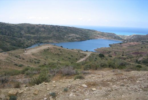 Terreno - Akoursós, Paphos District