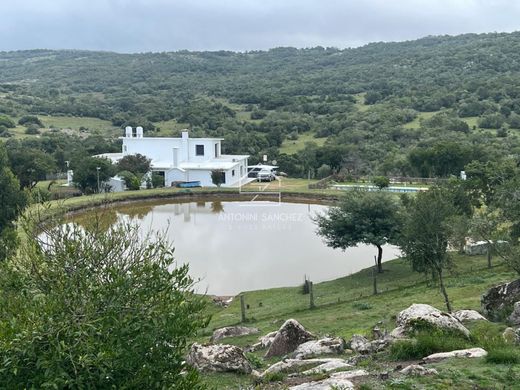 Farm in Aiguá, Maldonado
