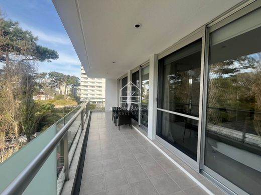 Apartment in Punta del Este, Punta Del Este