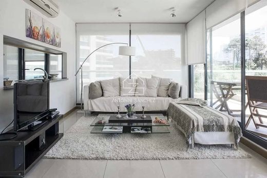 Apartament w Punta del Este, Punta Del Este