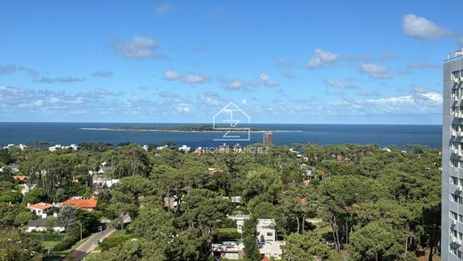 Apartment in Punta del Este, Punta Del Este