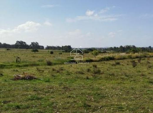 Fattoria a José Ignacio, Garzón