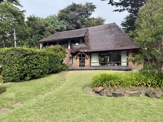 Dom jednorodzinny w Punta del Este, Punta Del Este