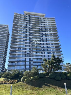 Apartament w Punta del Este, Punta Del Este