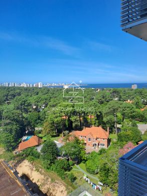 Apartment in Punta del Este, Punta Del Este