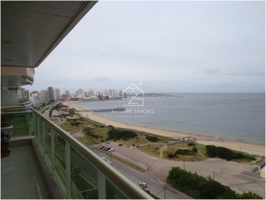 Apartamento - Punta del Este, Punta Del Este