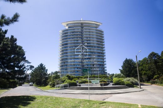Apartament w Punta del Este, Punta Del Este