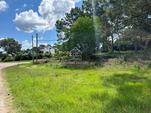 Teren w Punta del Este, Punta Del Este