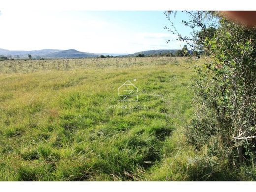 Farm in Aiguá, Maldonado