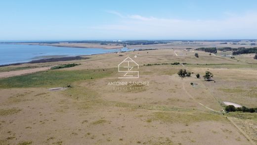 Farm in José Ignacio, Garzón