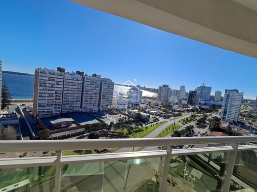 Apartment in Punta del Este, Punta Del Este