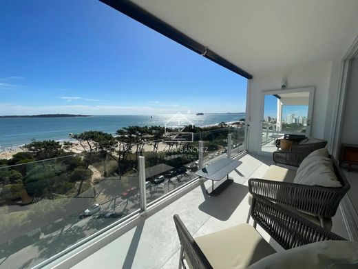 Apartament w Punta del Este, Punta Del Este