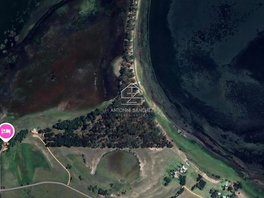 Fattoria a Garzón, Maldonado