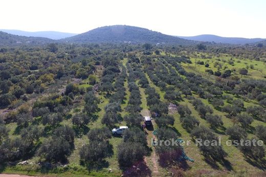 Loft for sale in Marina