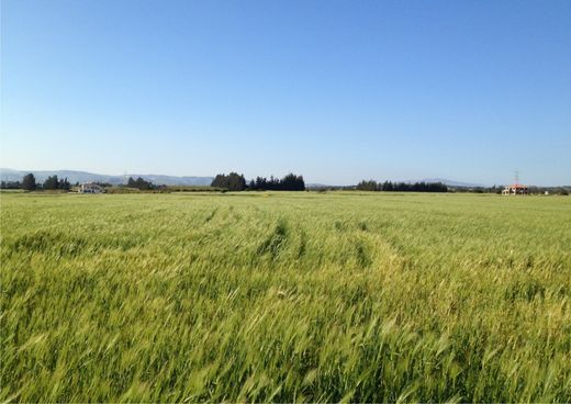 Terrain à Kouklia, Koúklia