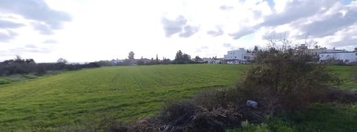 Land for sale in Geroskípou (quarter)