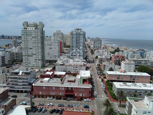 Apartment in Punta del Este, Punta Del Este