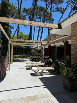 Einfamilienhaus in Punta del Este, Punta Del Este