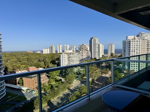 Apartment in Punta del Este, Punta Del Este