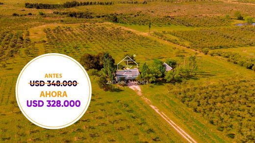 Fattoria a Pan de Azúcar, Pan De Azucar