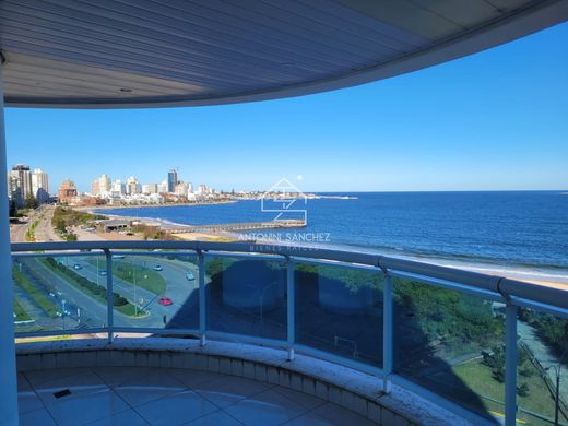 Apartment in Punta del Este, Punta Del Este