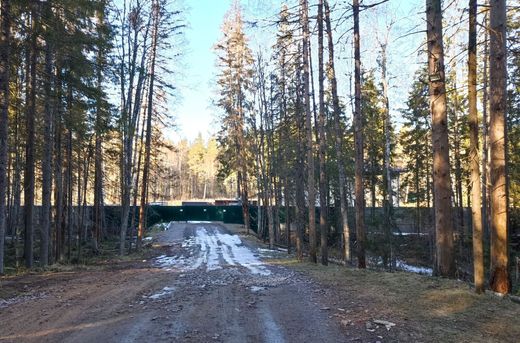 Land in Pervomayskoye, Leningrad