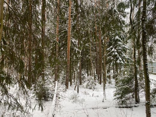 Terrain à Toksovo, Leningrad Oblast