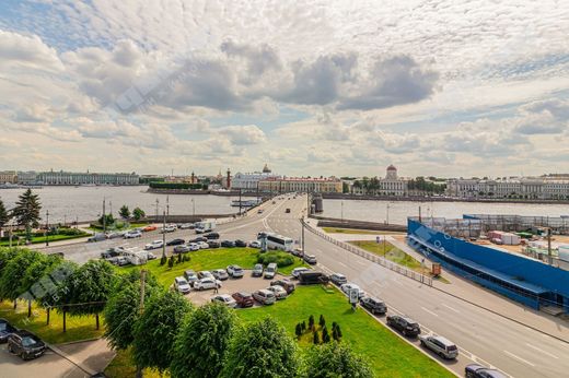 Apartment in Saint-Petersburg, Sankt-Peterburg