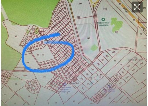 Arsa Sanino, Leningrad Oblast