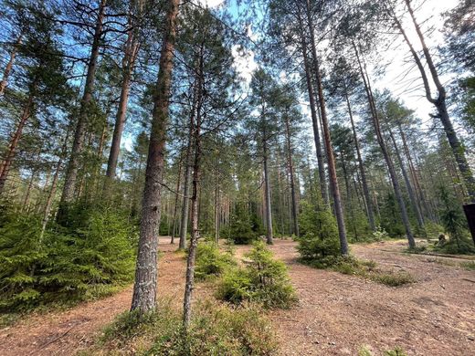 Terreno en Leninskoye, Leningrad Oblast