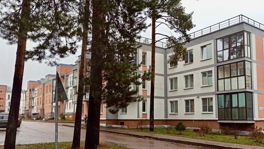 Daire Il’ichëvo, Leningrad Oblast