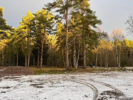 Αγροτεμάχιο σε Leninskoye, Leningrad Oblast