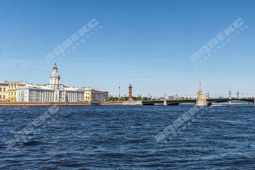 Apartment in Saint-Petersburg, Sankt-Peterburg