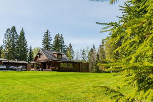 Casa de lujo en Sopki, Leningrad Oblast