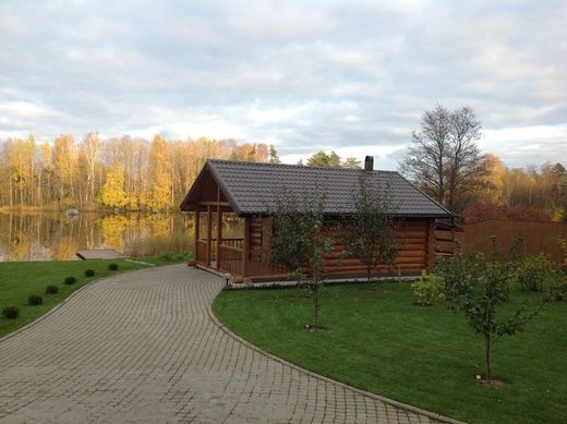 Casa di lusso a Mel’nikovo, Leningrad Oblast