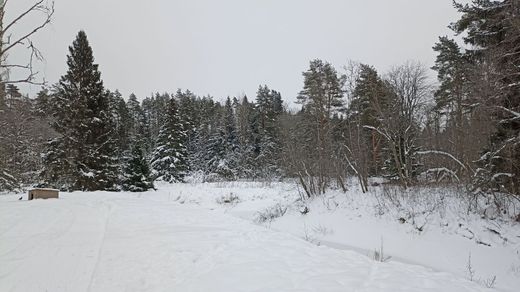 Land in Pervomayskoye, Leningrad