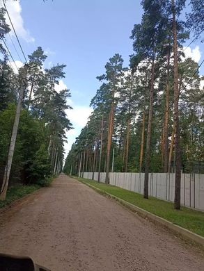 Terreno - Vsevolozhsk, Leningrad Oblast