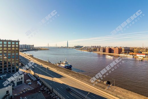 Apartment in Saint-Petersburg, Sankt-Peterburg