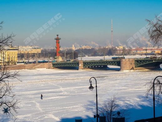 Apartment in Saint-Petersburg, Sankt-Peterburg