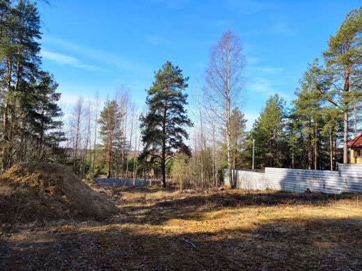 Land in Yukki, Leningrad