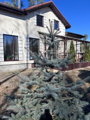 Casa de luxo - Sertolovo, Leningrad Oblast